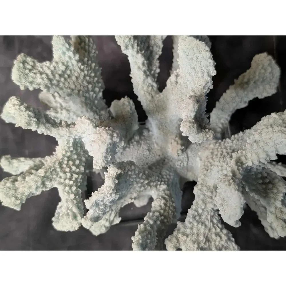 Nautical Coral Resin Art Statue Figurine Glass Bass Teal Large Staghorn Decor